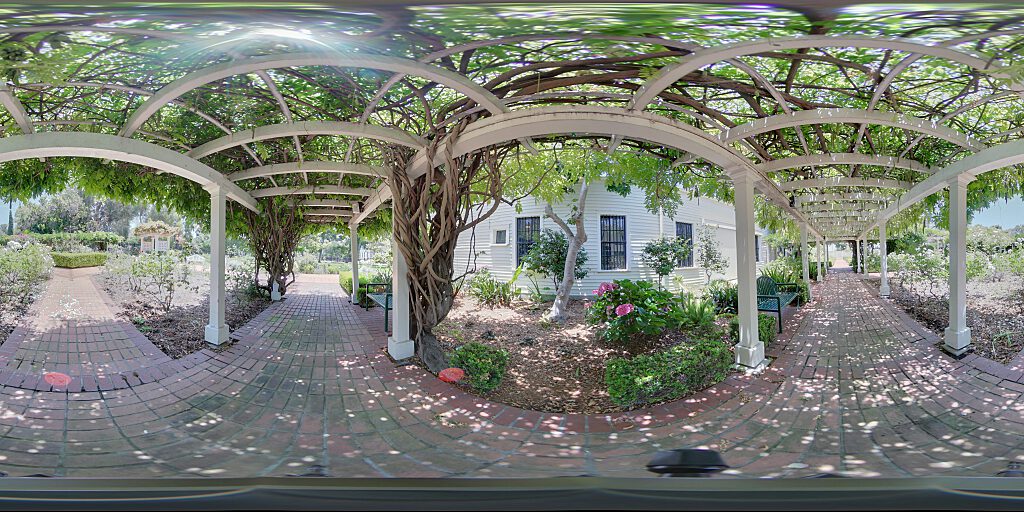 Garden trellis with wisteria